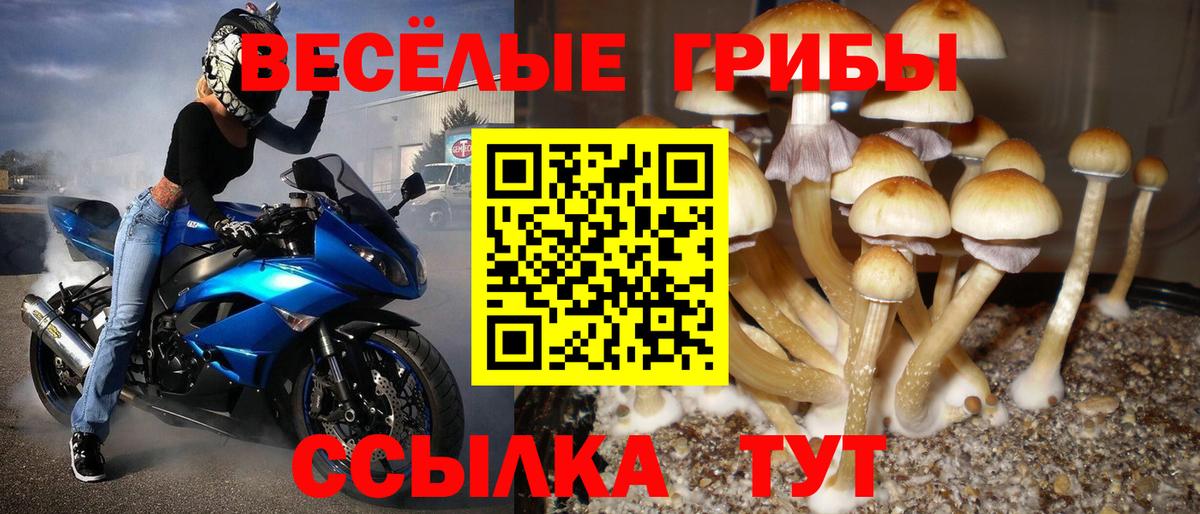 Псилоцибиновые грибы Psilocybe  Вход с VPN  Дедовск  Галлюциногенные грибы ЛСД 